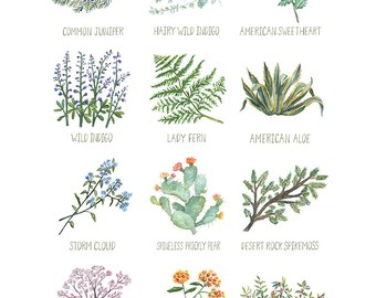 plant art